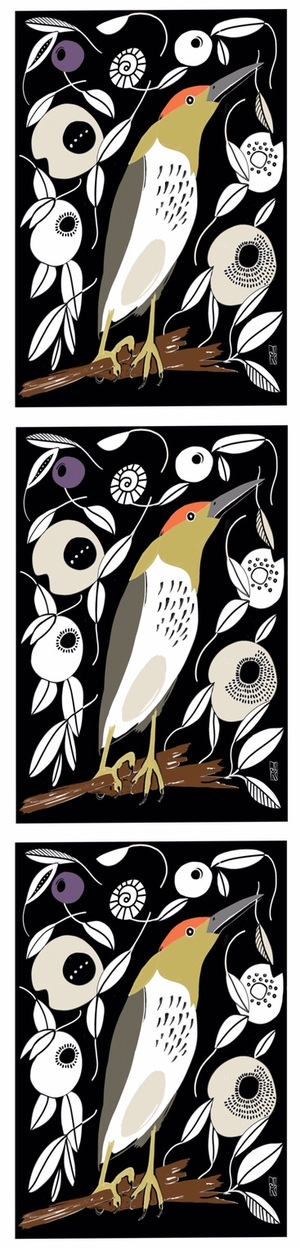  Judy Kahooti KARD with envelope